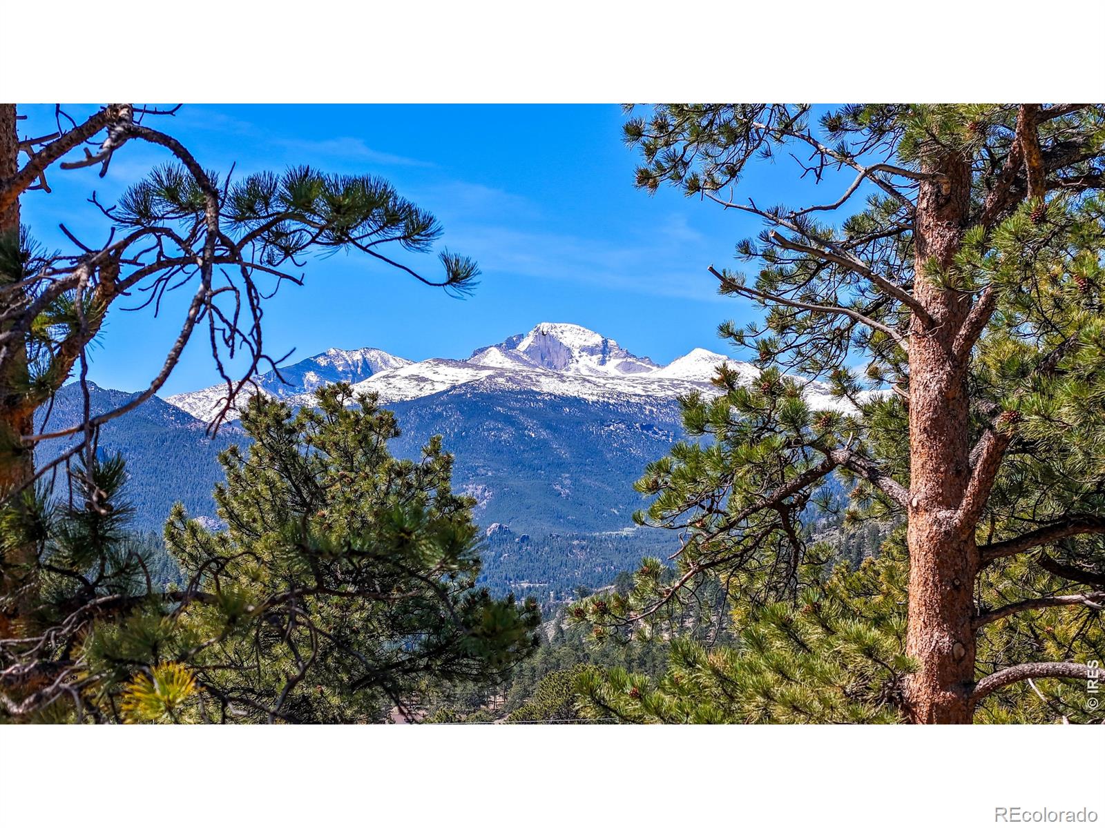 MLS Image #8 for 710  tanager road,estes park, Colorado