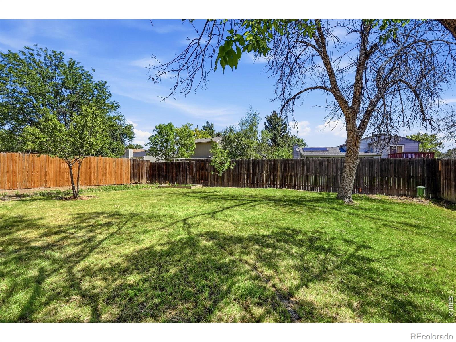 MLS Image #29 for 2412  tulip street,longmont, Colorado