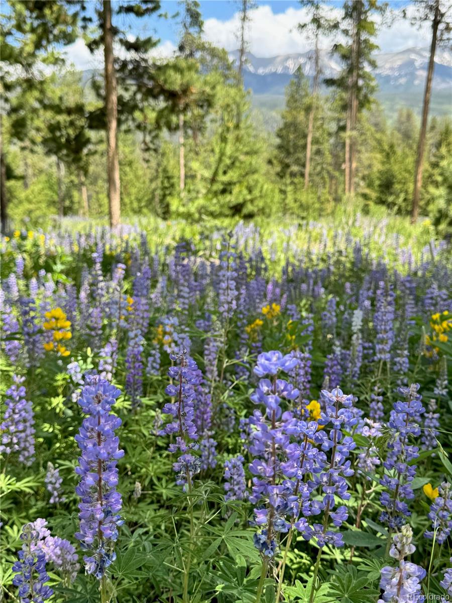 MLS Image #43 for 1000  gcr 8304 aka sunset drive,tabernash, Colorado