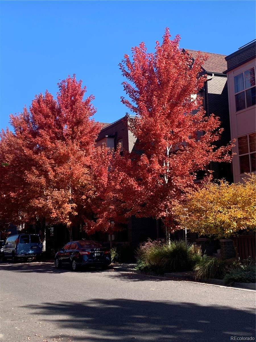 MLS Image #30 for 457 s reed court,lakewood, Colorado