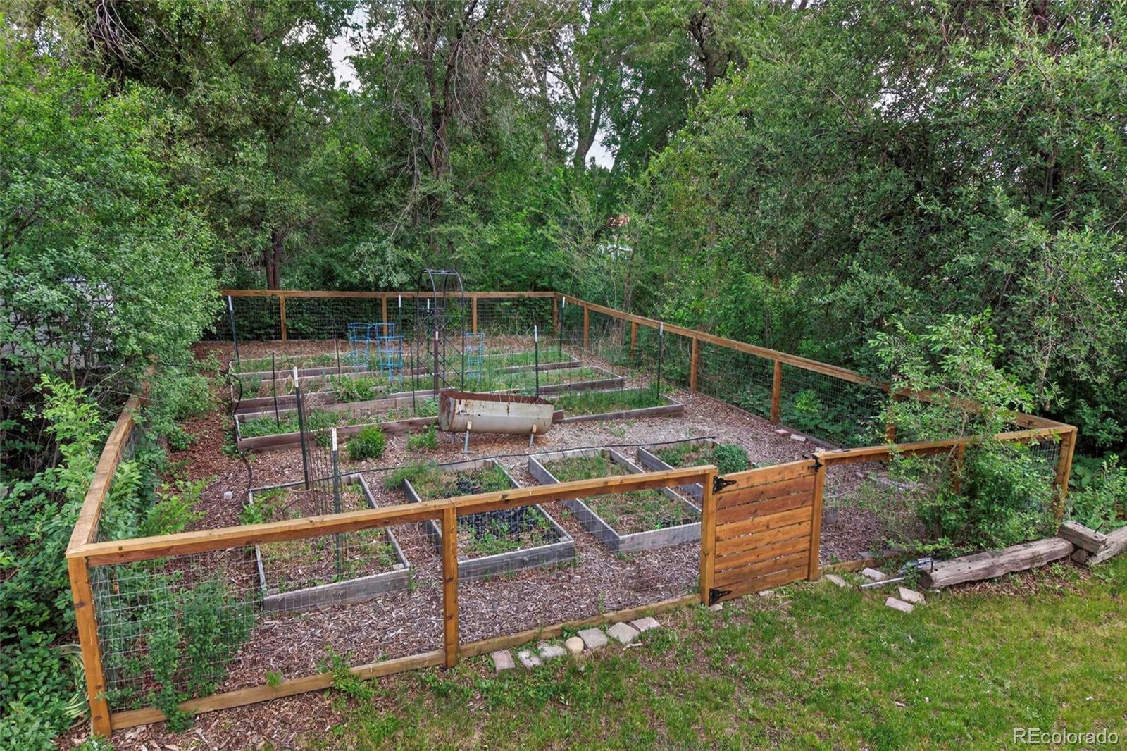 MLS Image #44 for 1050  pikeview street,lakewood, Colorado