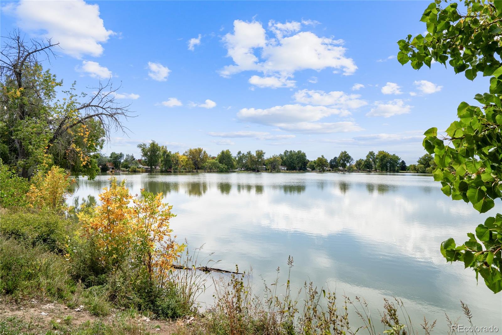 MLS Image #45 for 1331  bellaire street,broomfield, Colorado
