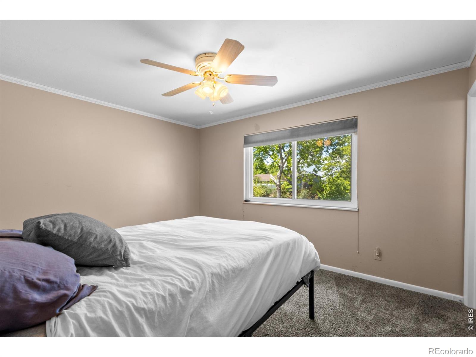 MLS Image #13 for 2821 w 24th street,greeley, Colorado