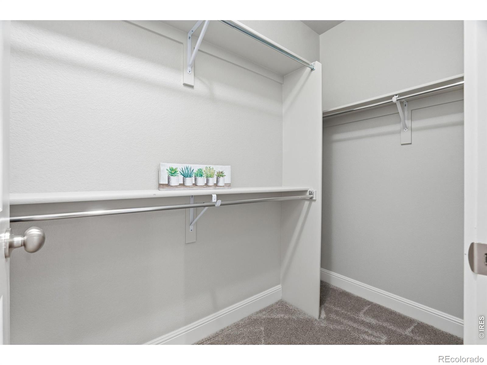 MLS Image #33 for 8446  annapolis drive,windsor, Colorado