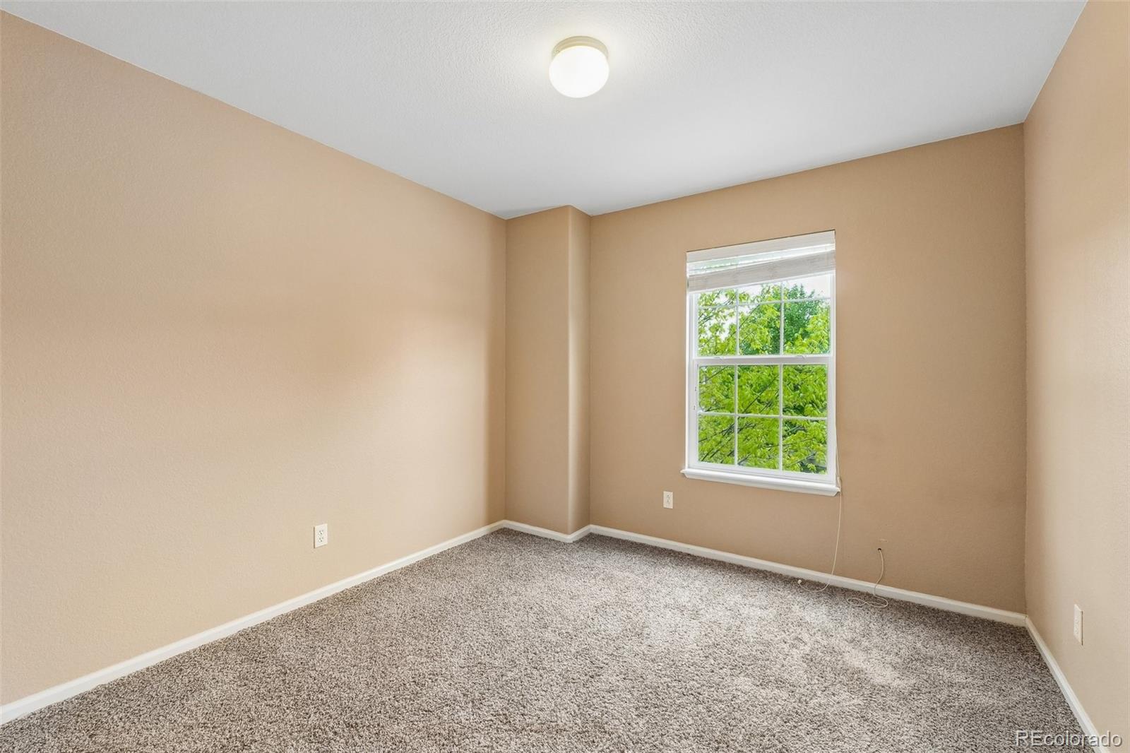 MLS Image #15 for 7723  autumn leaf way,colorado springs, Colorado