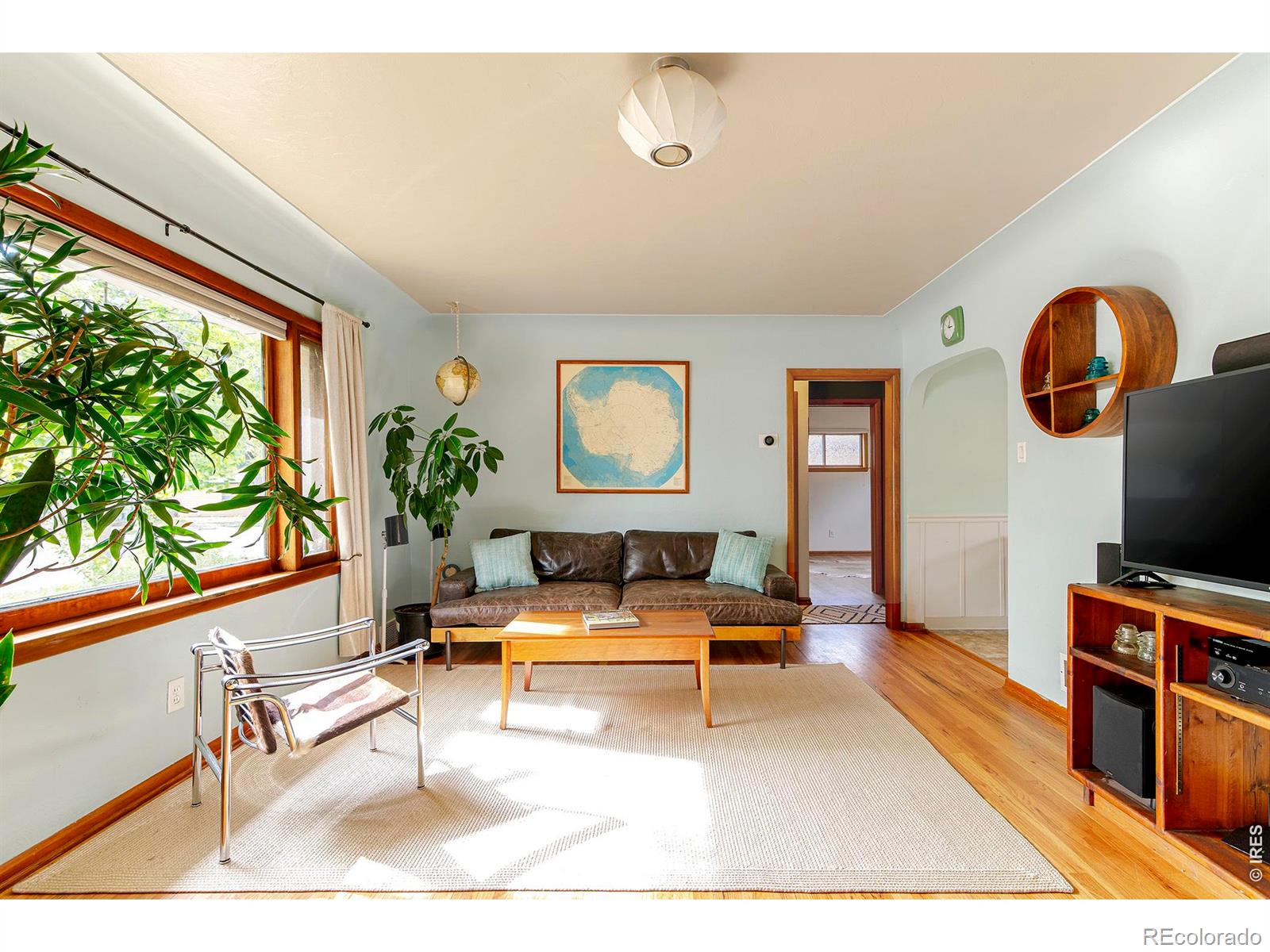 MLS Image #4 for 1221  gay street,longmont, Colorado