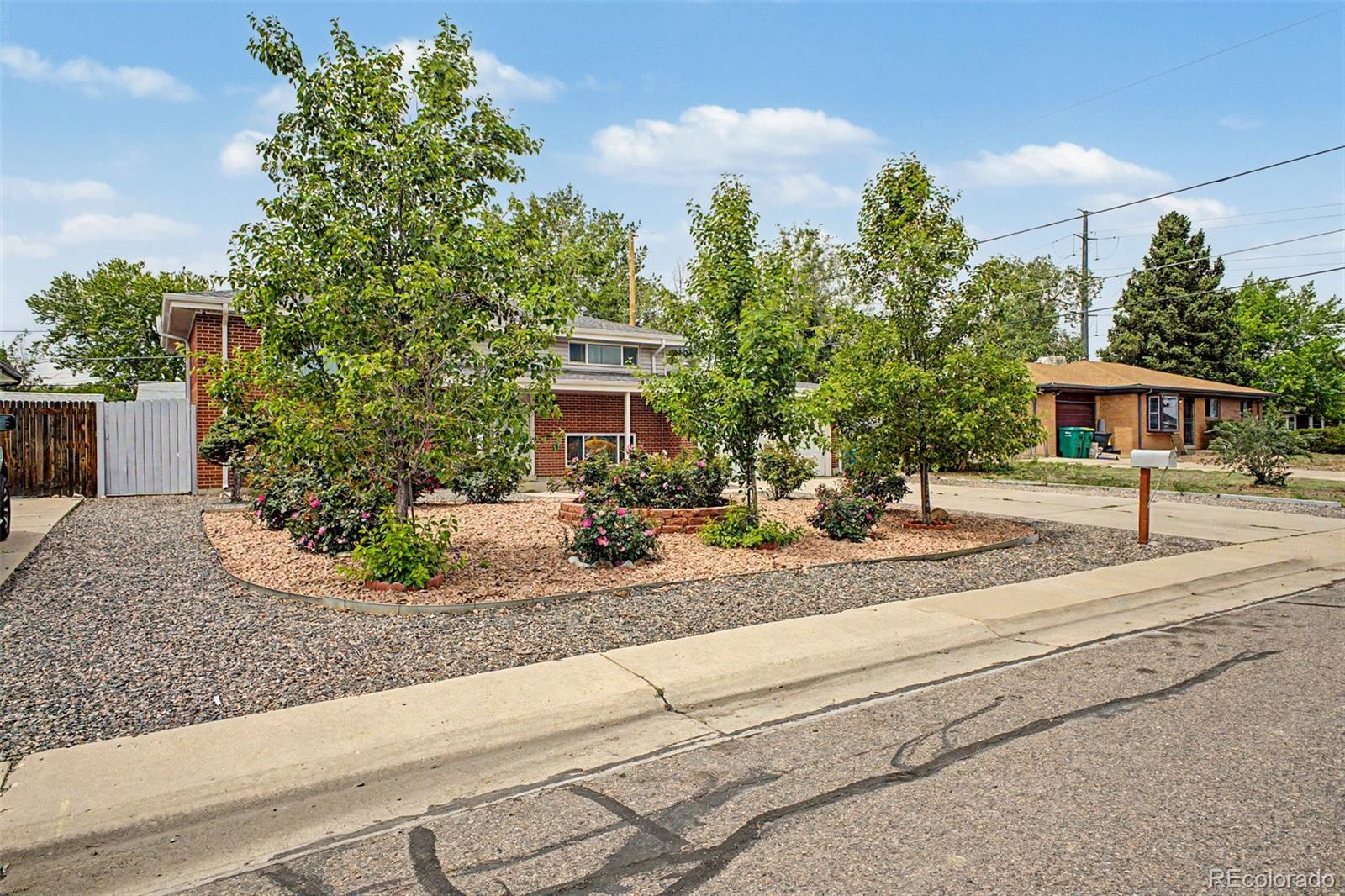 MLS Image #4 for 933  newcombe street,lakewood, Colorado