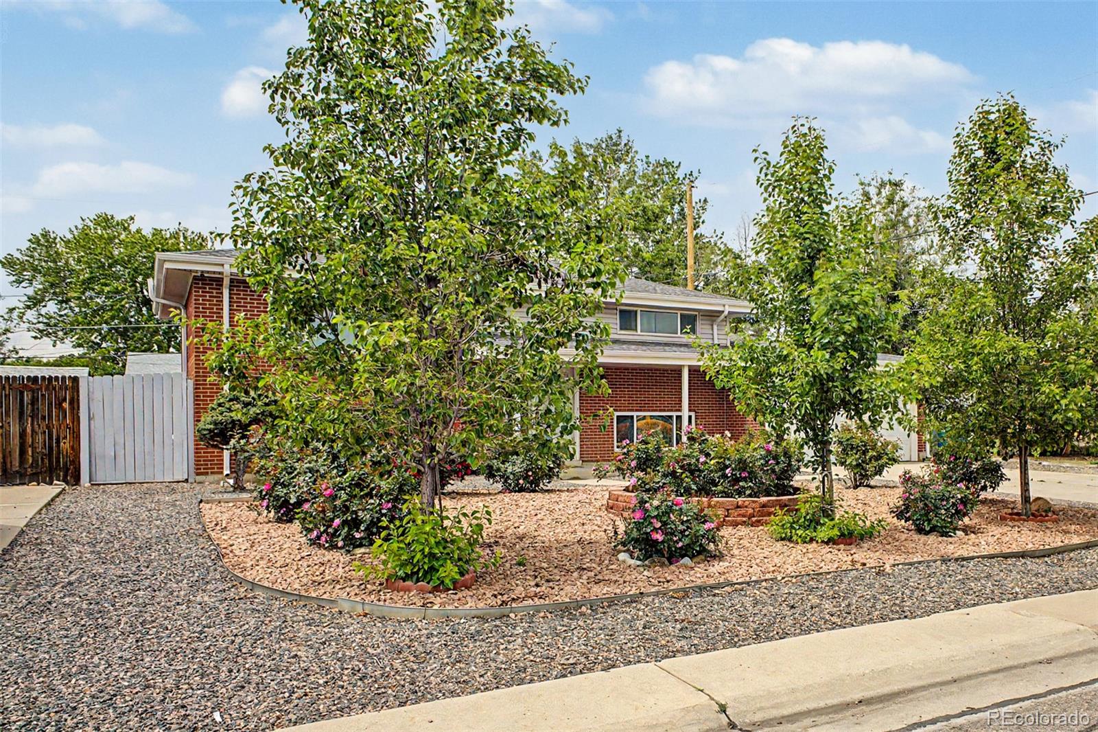 MLS Image #5 for 933  newcombe street,lakewood, Colorado