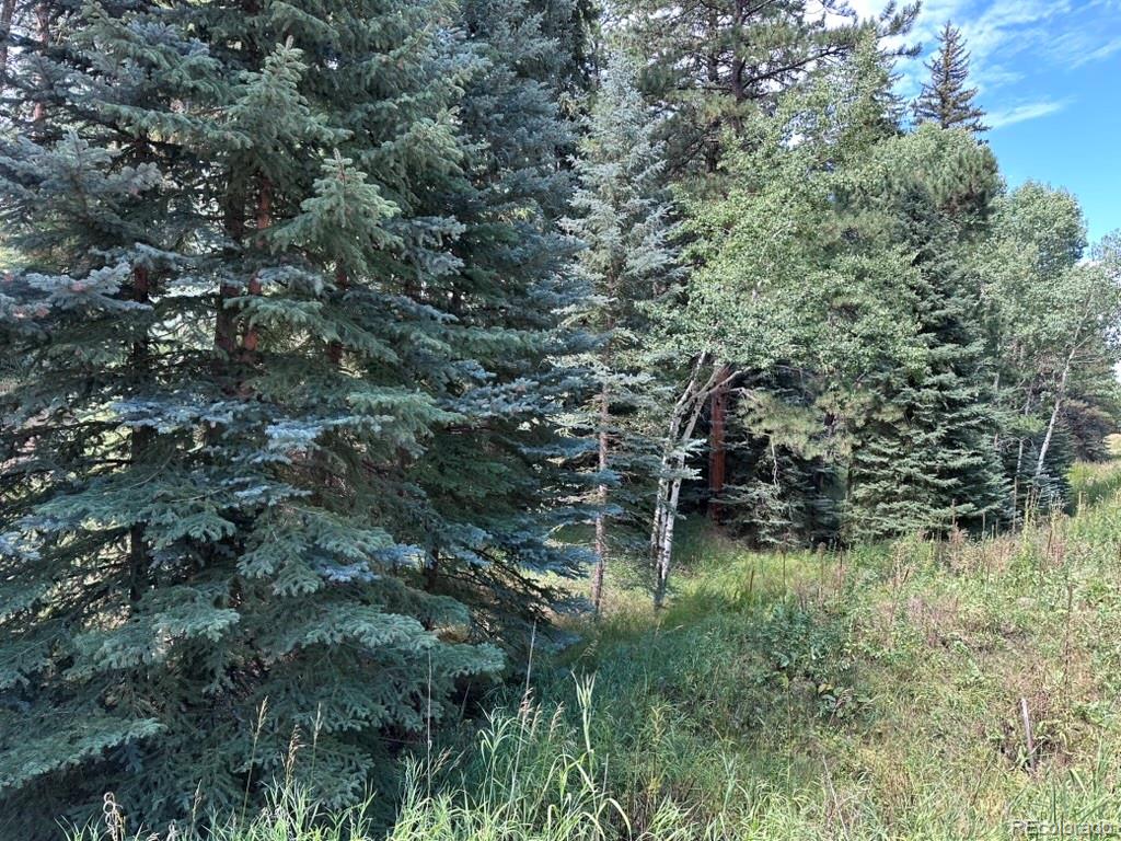 MLS Image #20 for 6897  high drive,morrison, Colorado