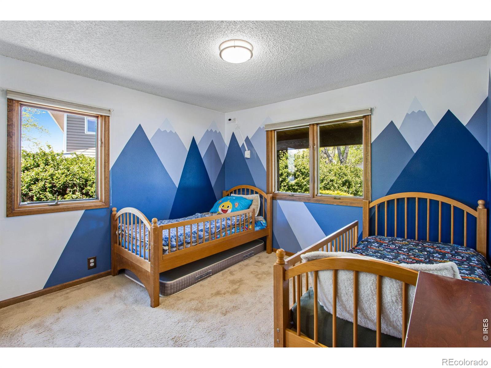 MLS Image #25 for 1104  engleman place,loveland, Colorado