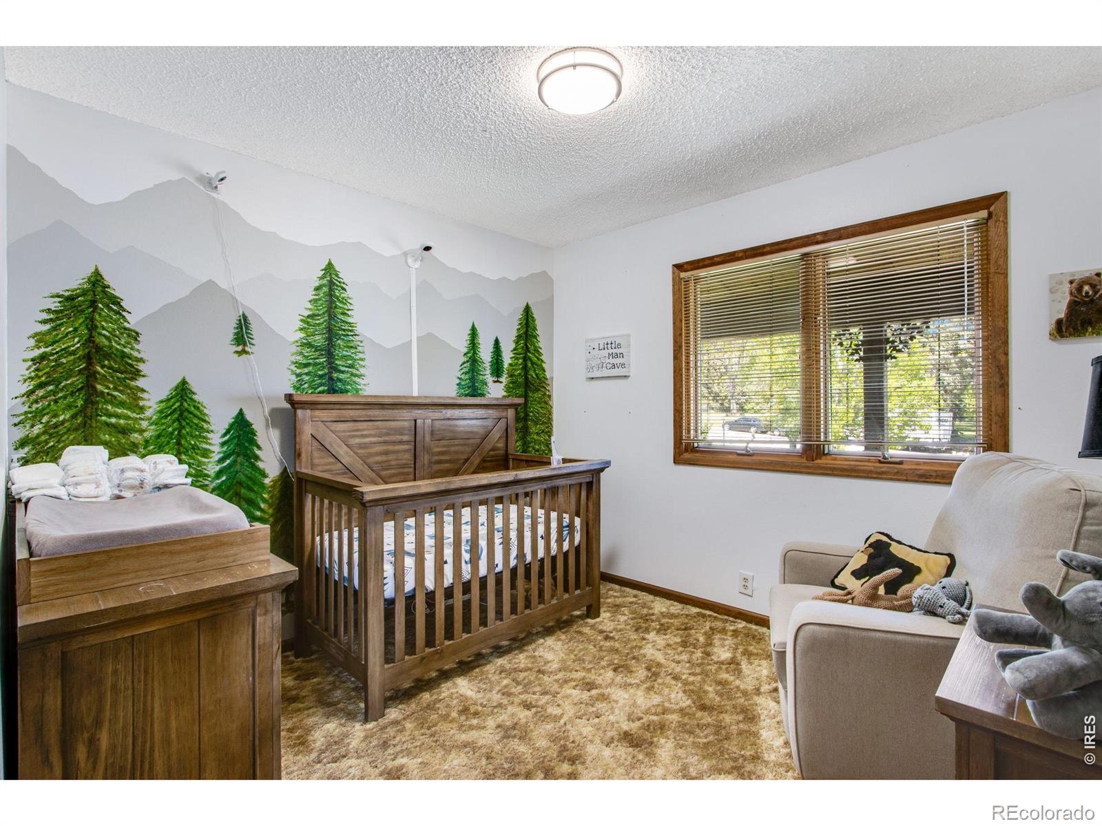 MLS Image #26 for 1104  engleman place,loveland, Colorado