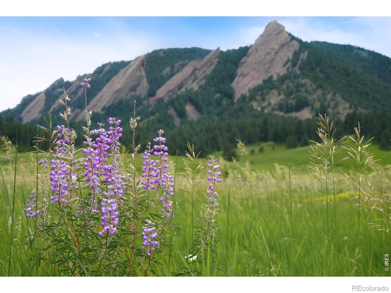 MLS Image #41 for 770  6th street,boulder, Colorado