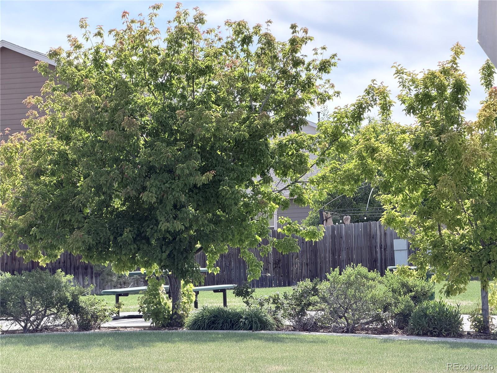 MLS Image #36 for 575  solano drive,lochbuie, Colorado