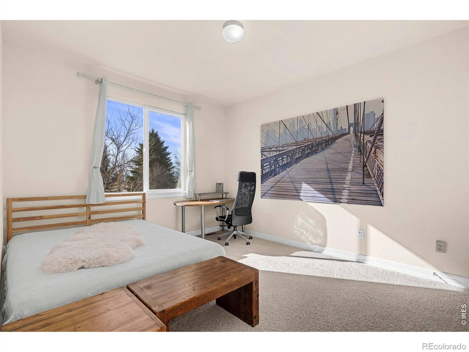 MLS Image #11 for 3242  sedgwick circle,loveland, Colorado
