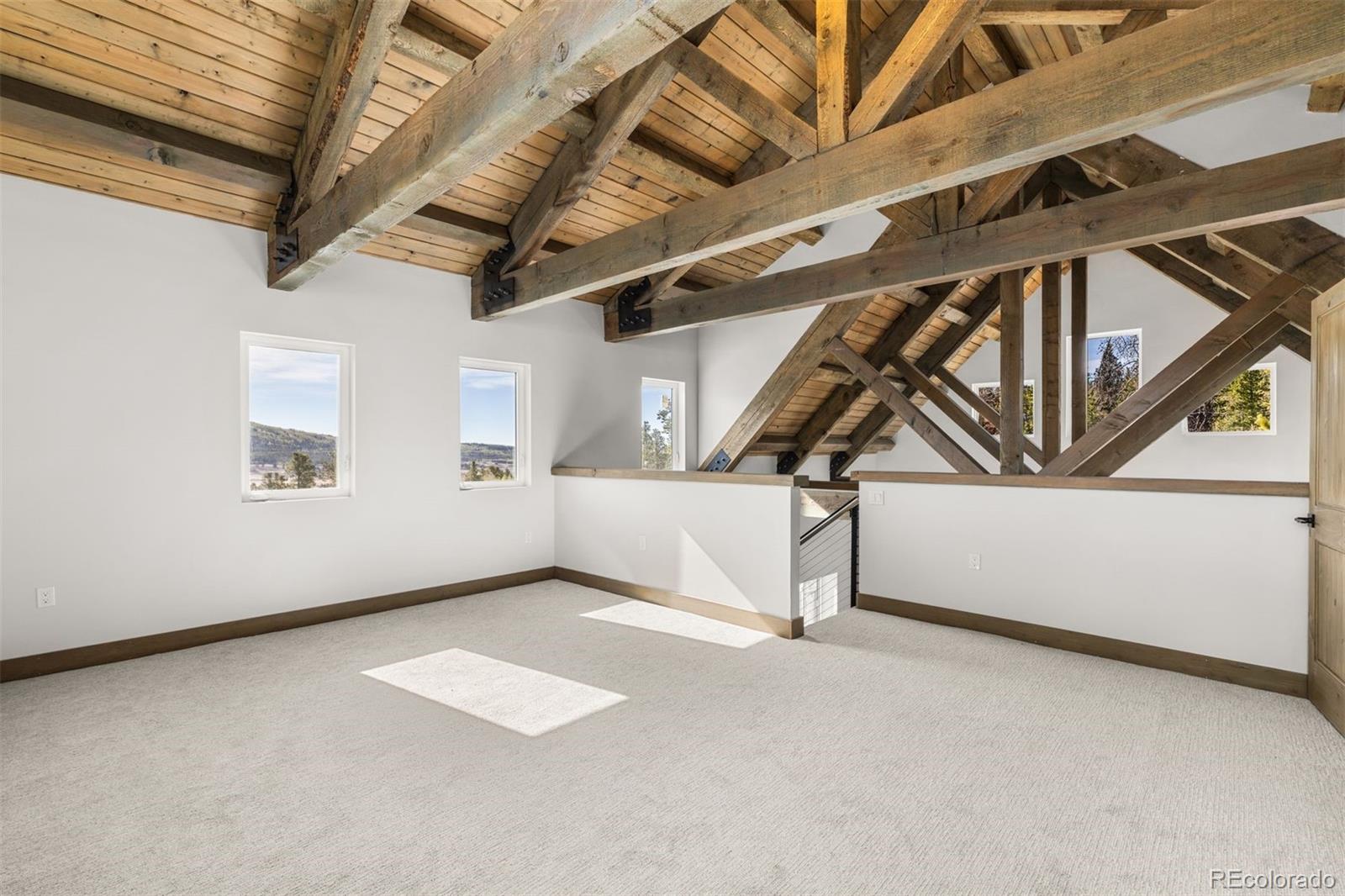 MLS Image #12 for 141 n aspen street,alma, Colorado