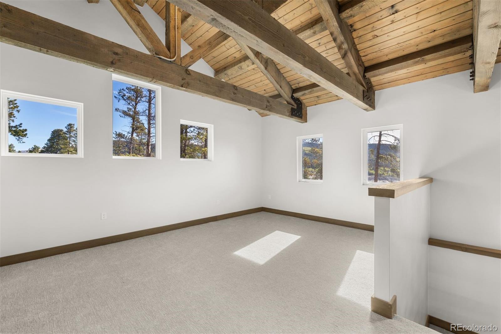 MLS Image #17 for 141 n aspen street,alma, Colorado