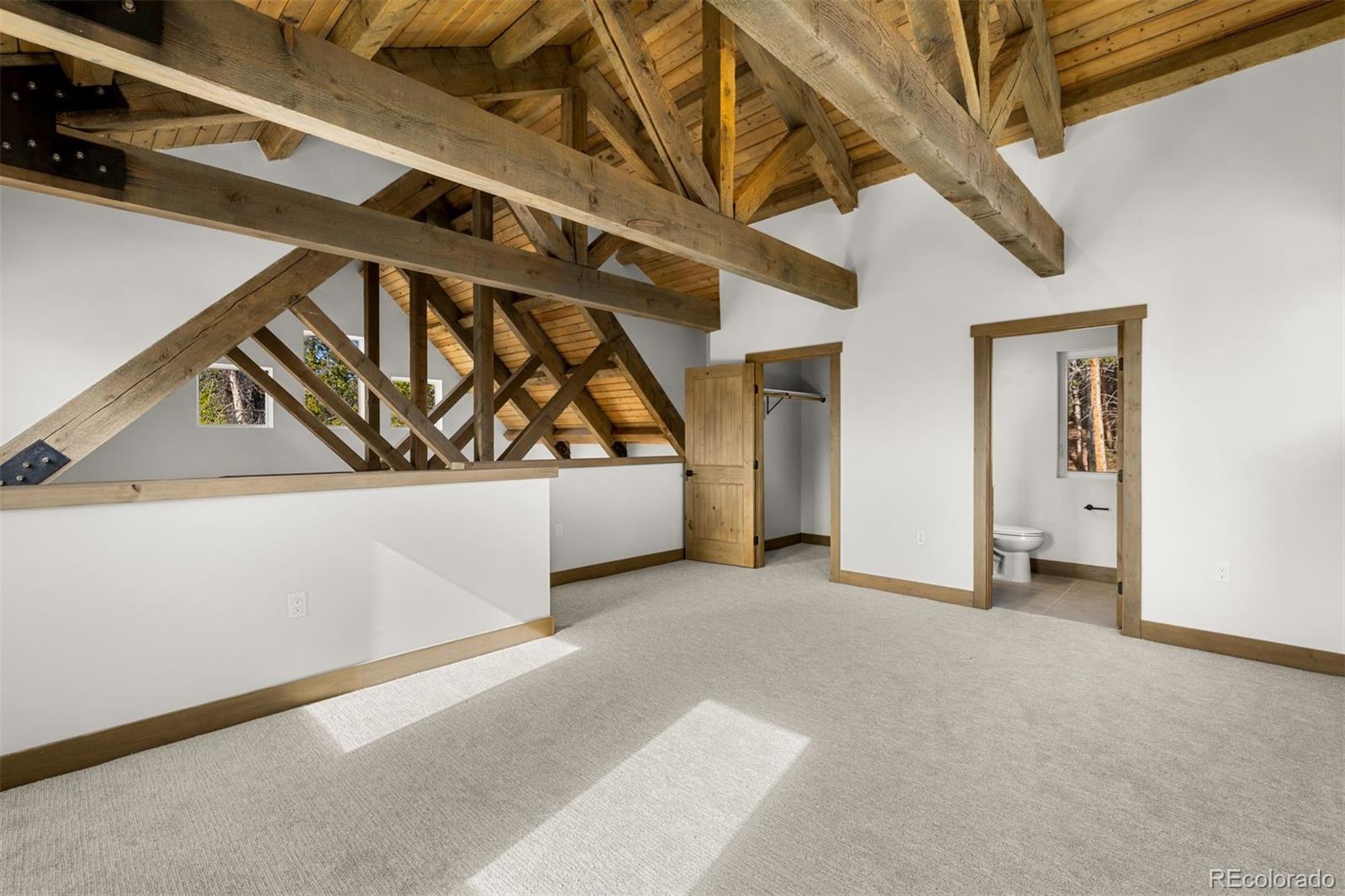 MLS Image #18 for 141 n aspen street,alma, Colorado