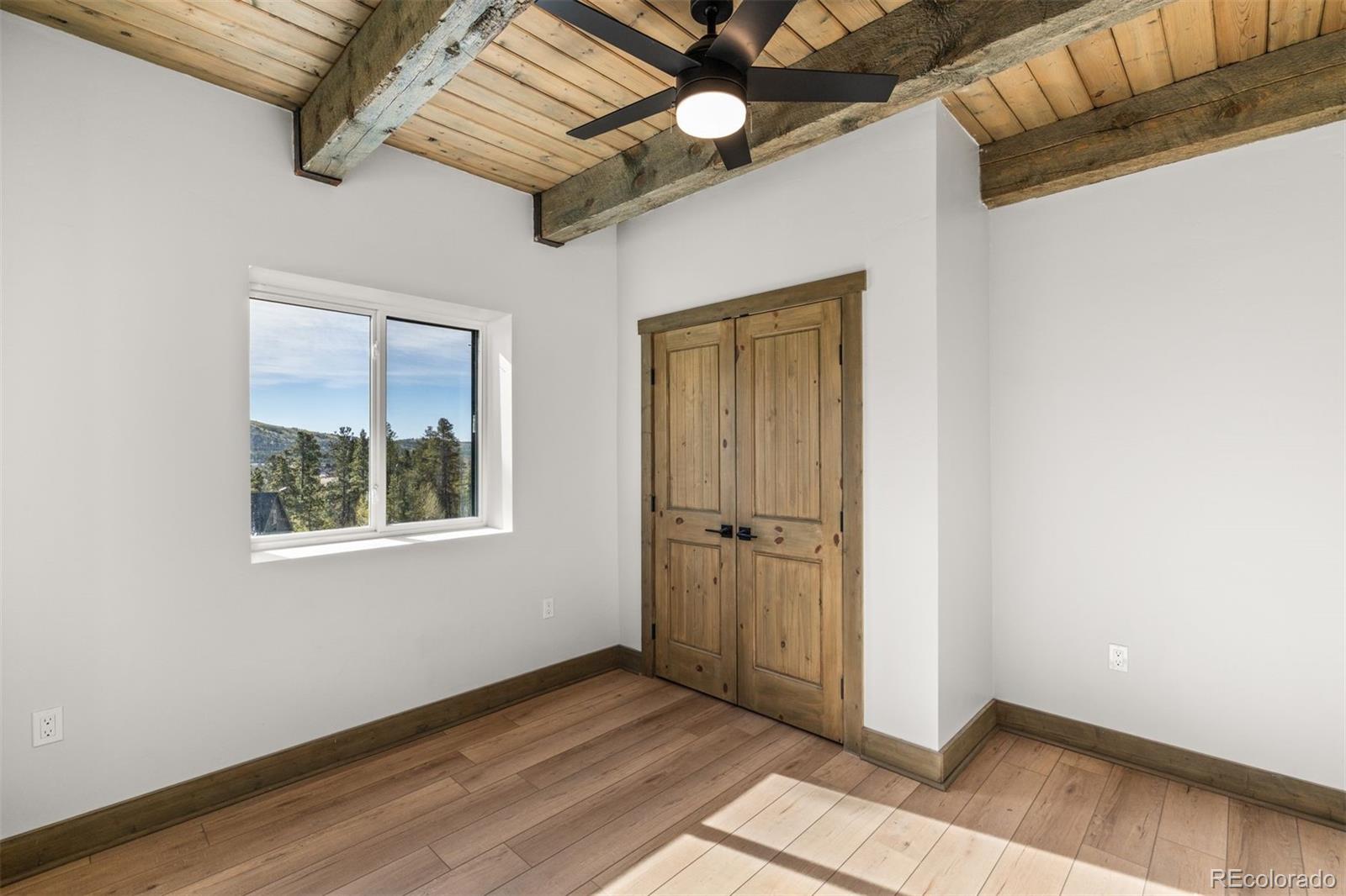 MLS Image #29 for 141 n aspen street,alma, Colorado