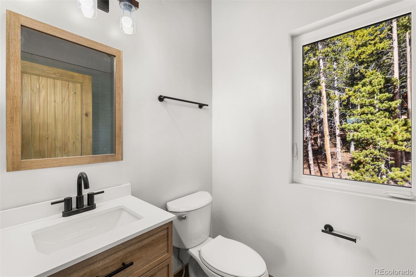 MLS Image #36 for 141 n aspen street,alma, Colorado