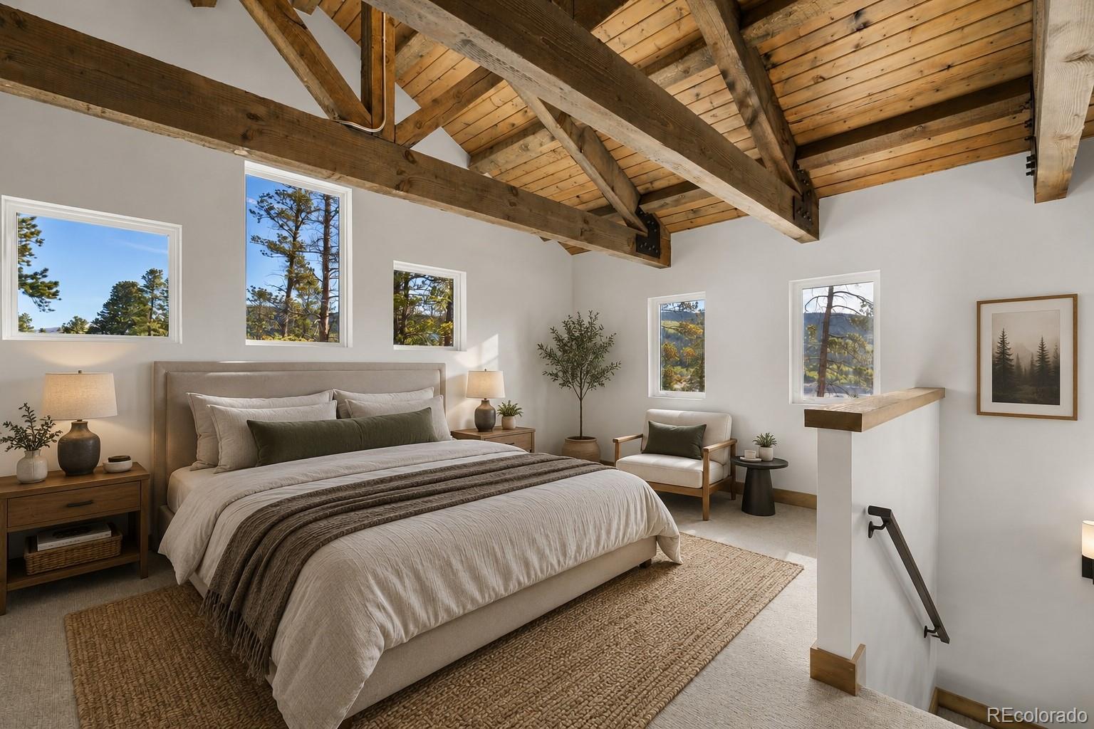 MLS Image #6 for 141 n aspen street,alma, Colorado