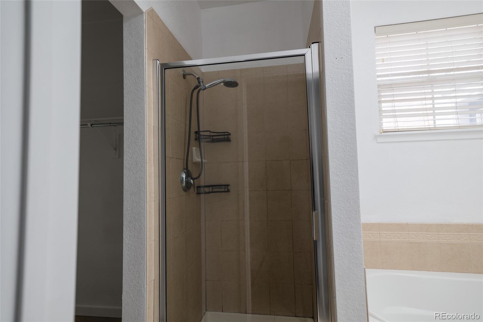 MLS Image #12 for 13347  glacier rim trail,broomfield, Colorado