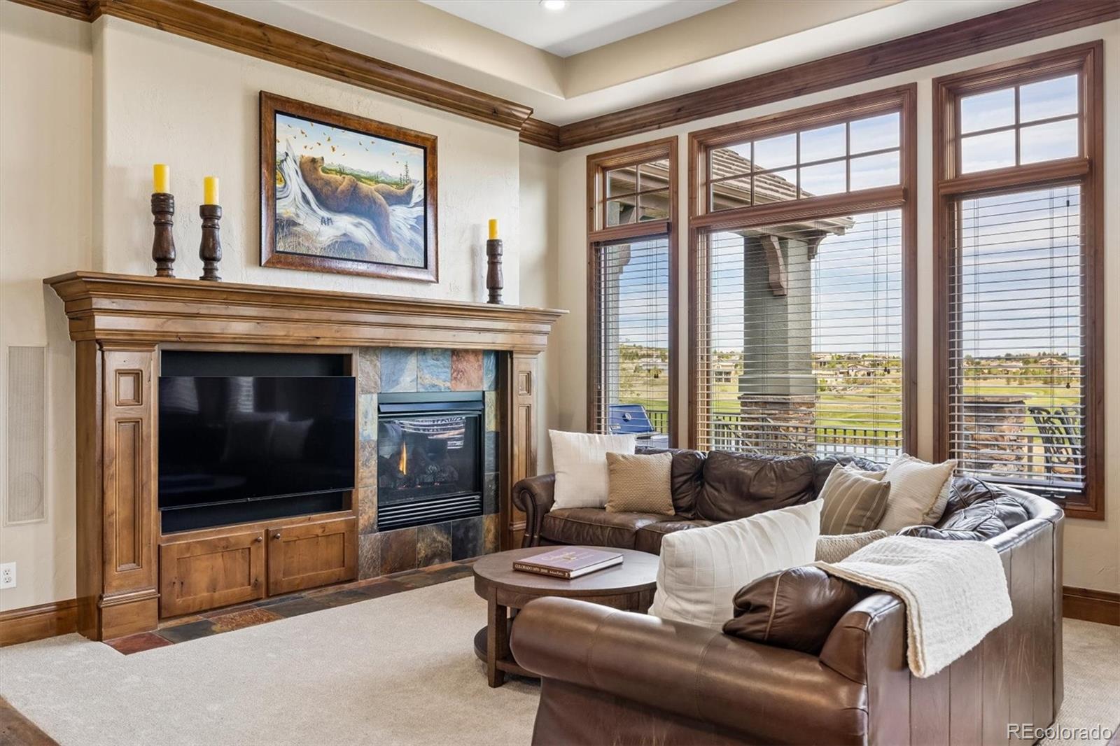 MLS Image #11 for 5097  raintree drive,parker, Colorado