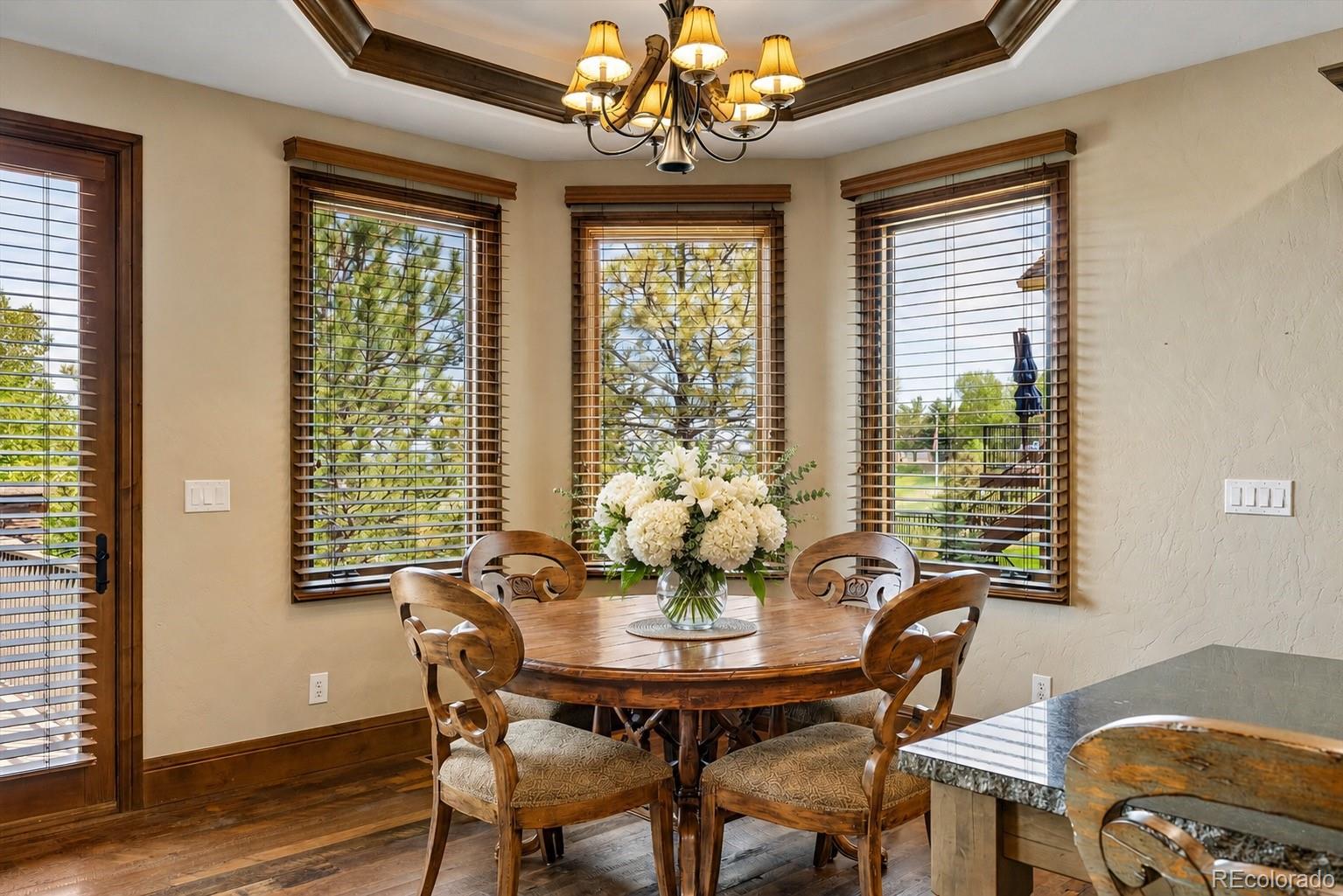MLS Image #18 for 5097  raintree drive,parker, Colorado
