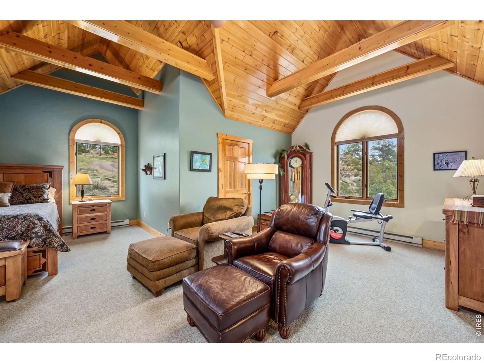 MLS Image #23 for 171  critter court,livermore, Colorado