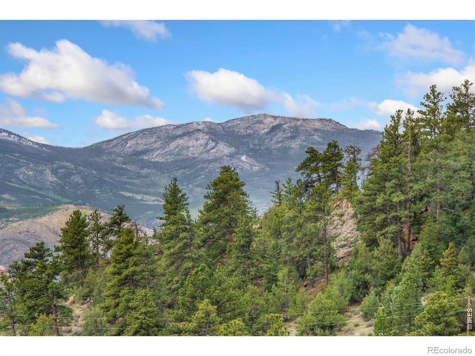 MLS Image #32 for 171  critter court,livermore, Colorado