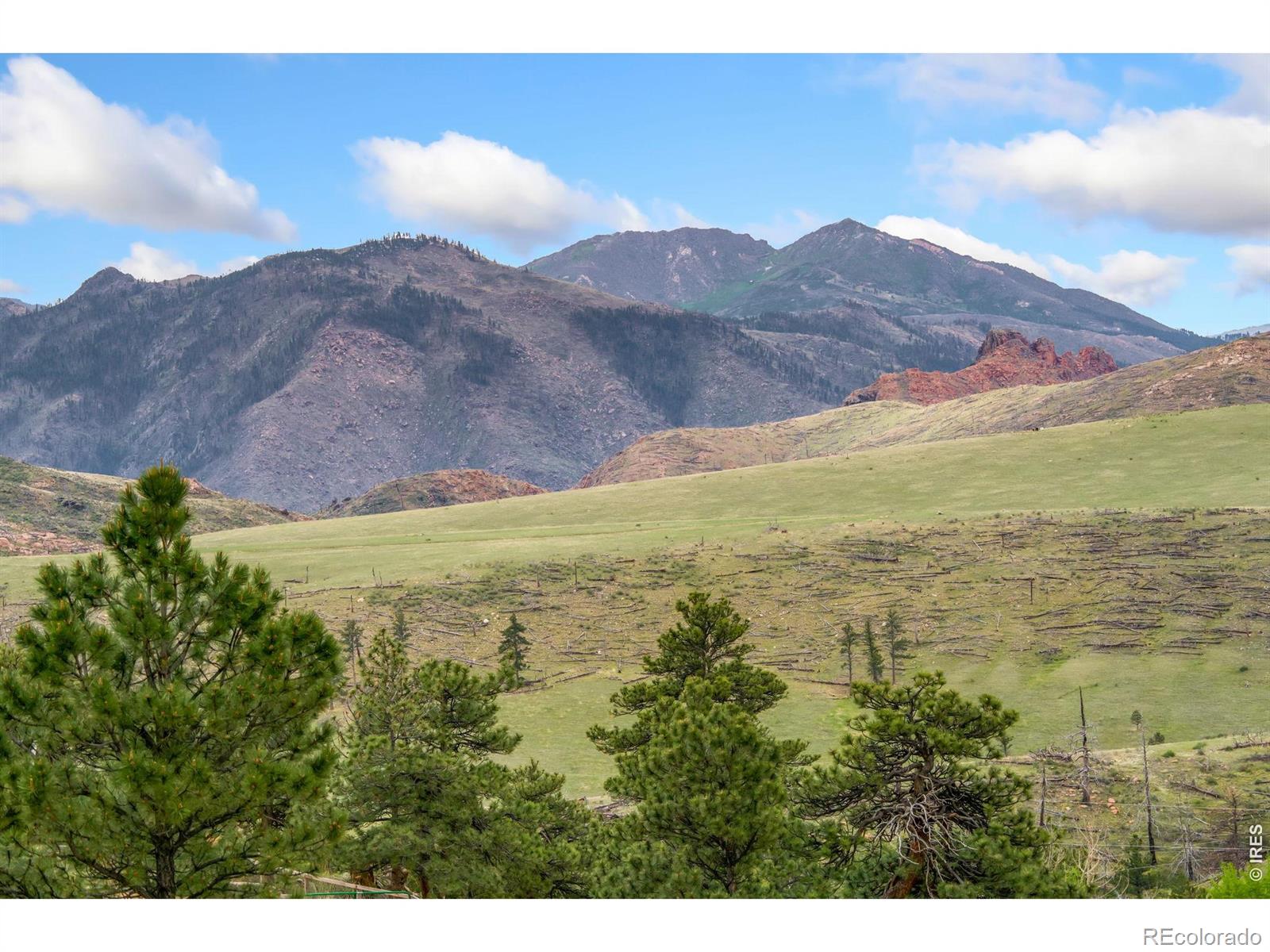 MLS Image #33 for 171  critter court,livermore, Colorado