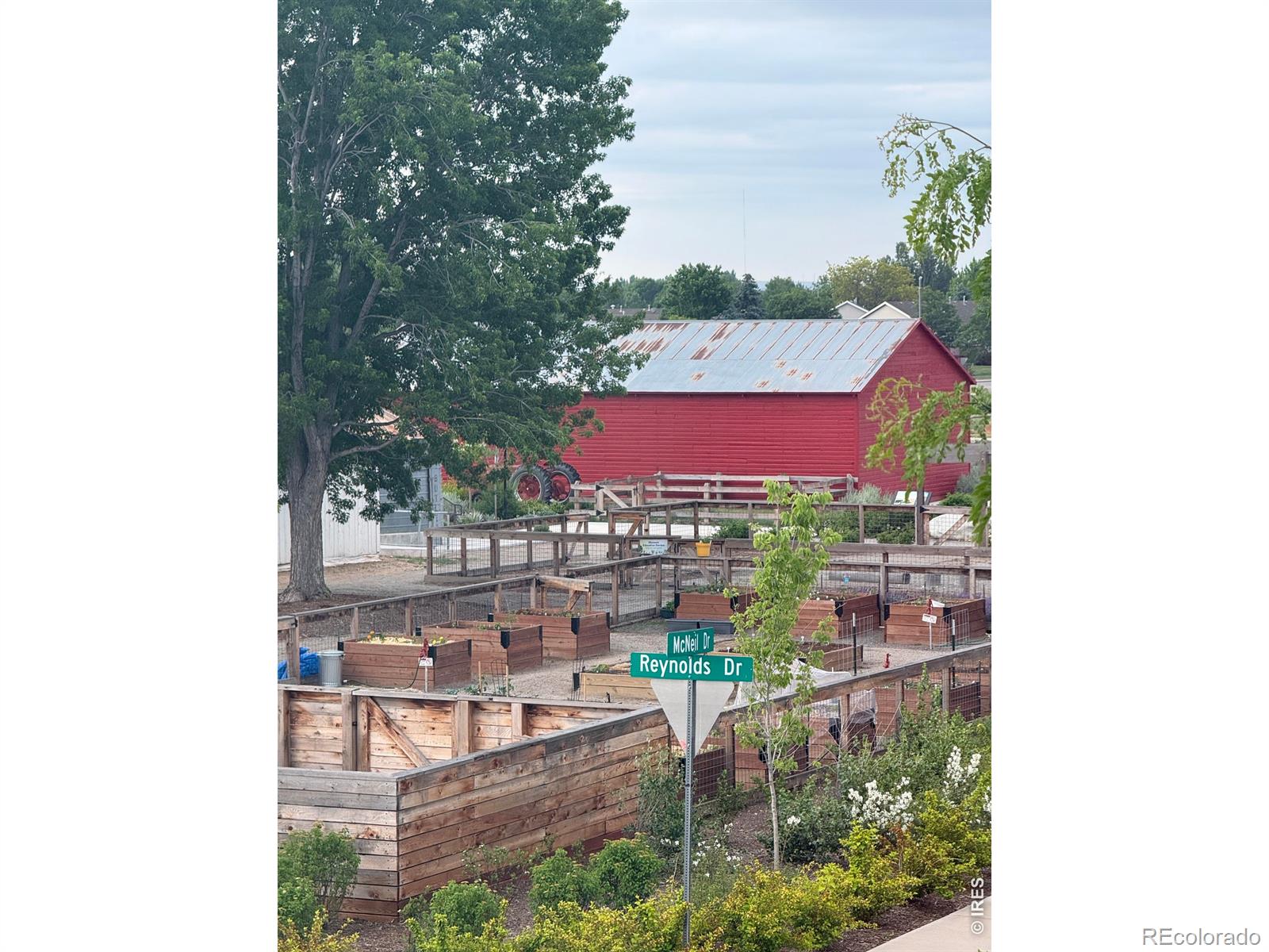 MLS Image #34 for 1526  reynolds drive,windsor, Colorado