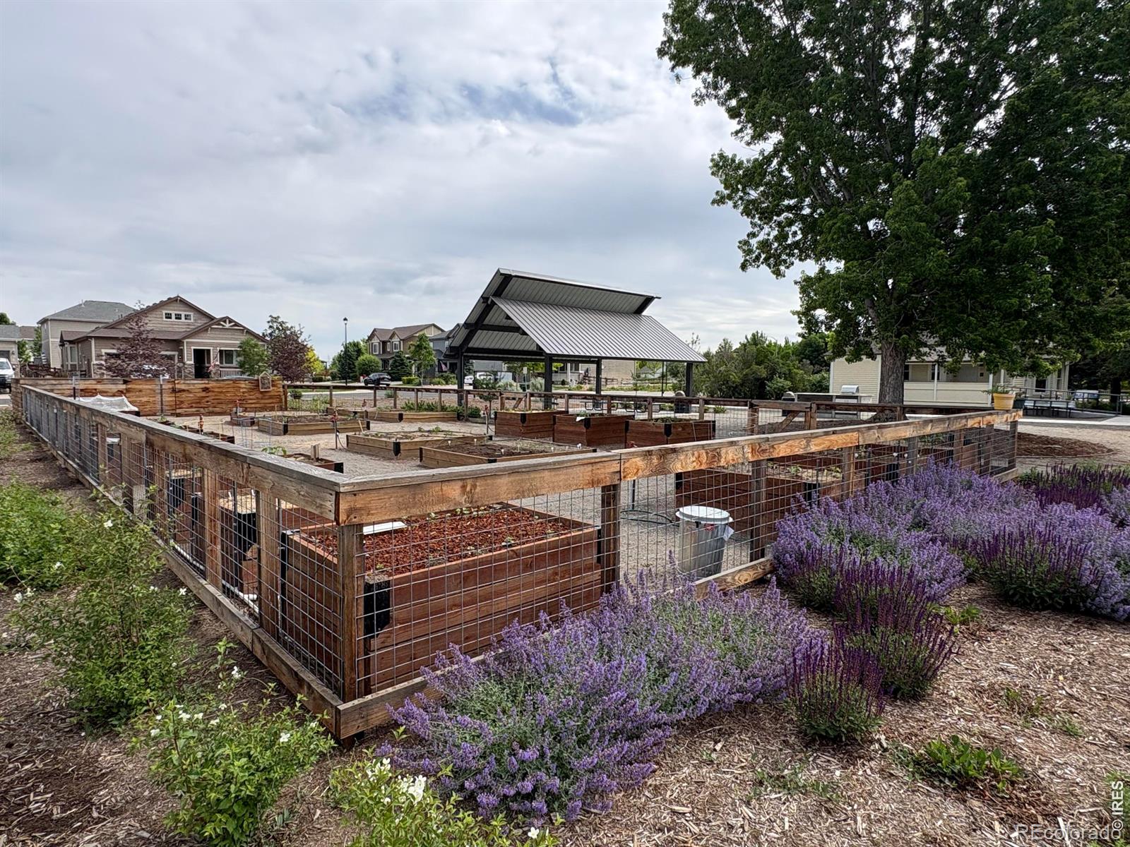 MLS Image #38 for 1526  reynolds drive,windsor, Colorado