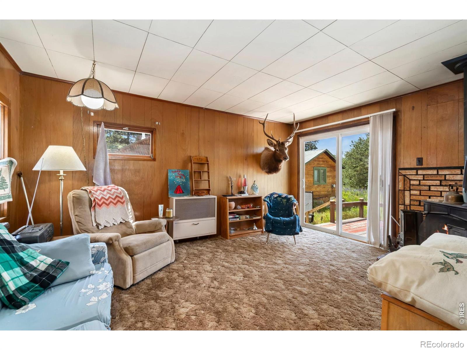 MLS Image #12 for 983  ramona drive,red feather lakes, Colorado