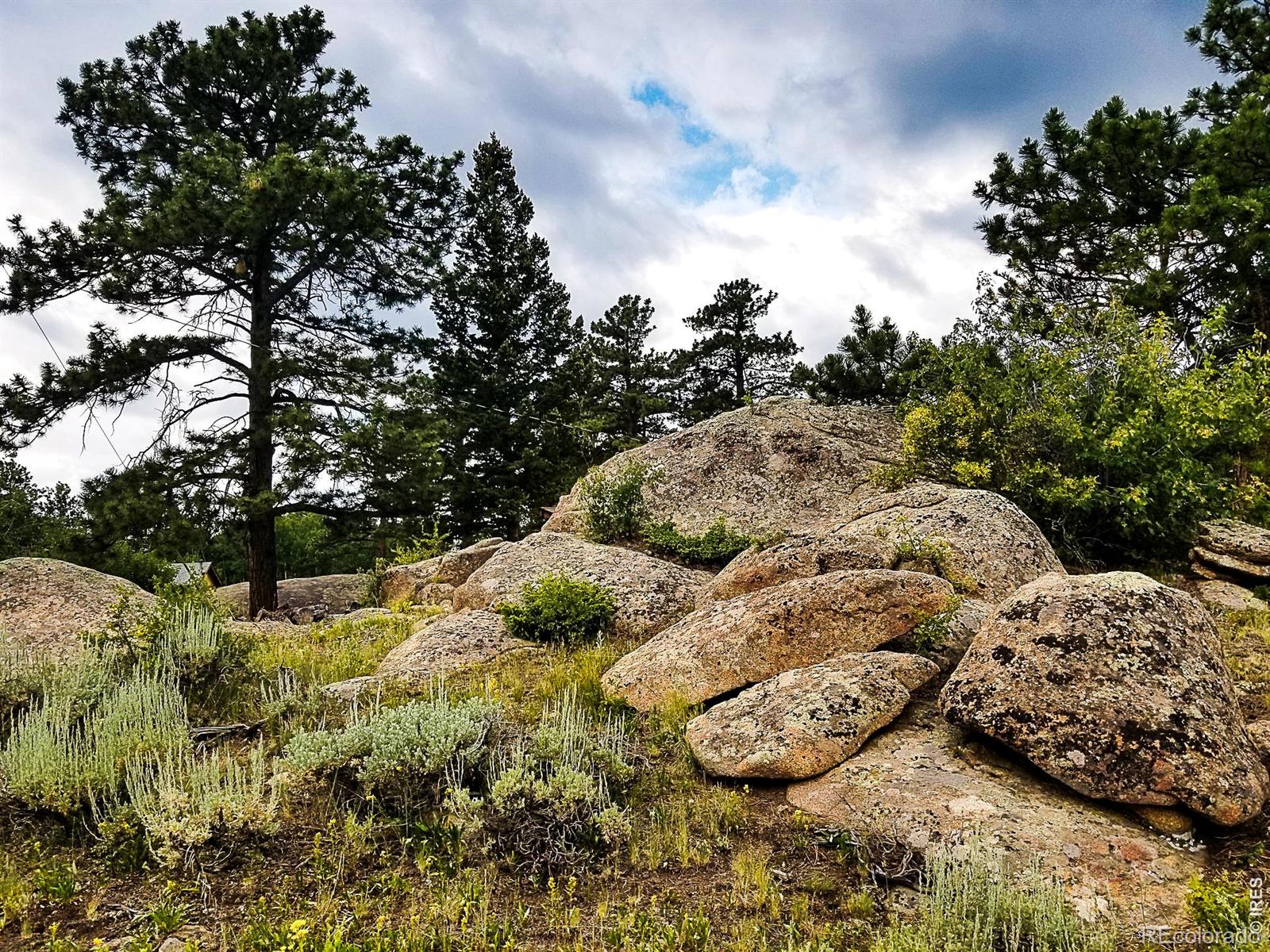 MLS Image #23 for 983  ramona drive,red feather lakes, Colorado