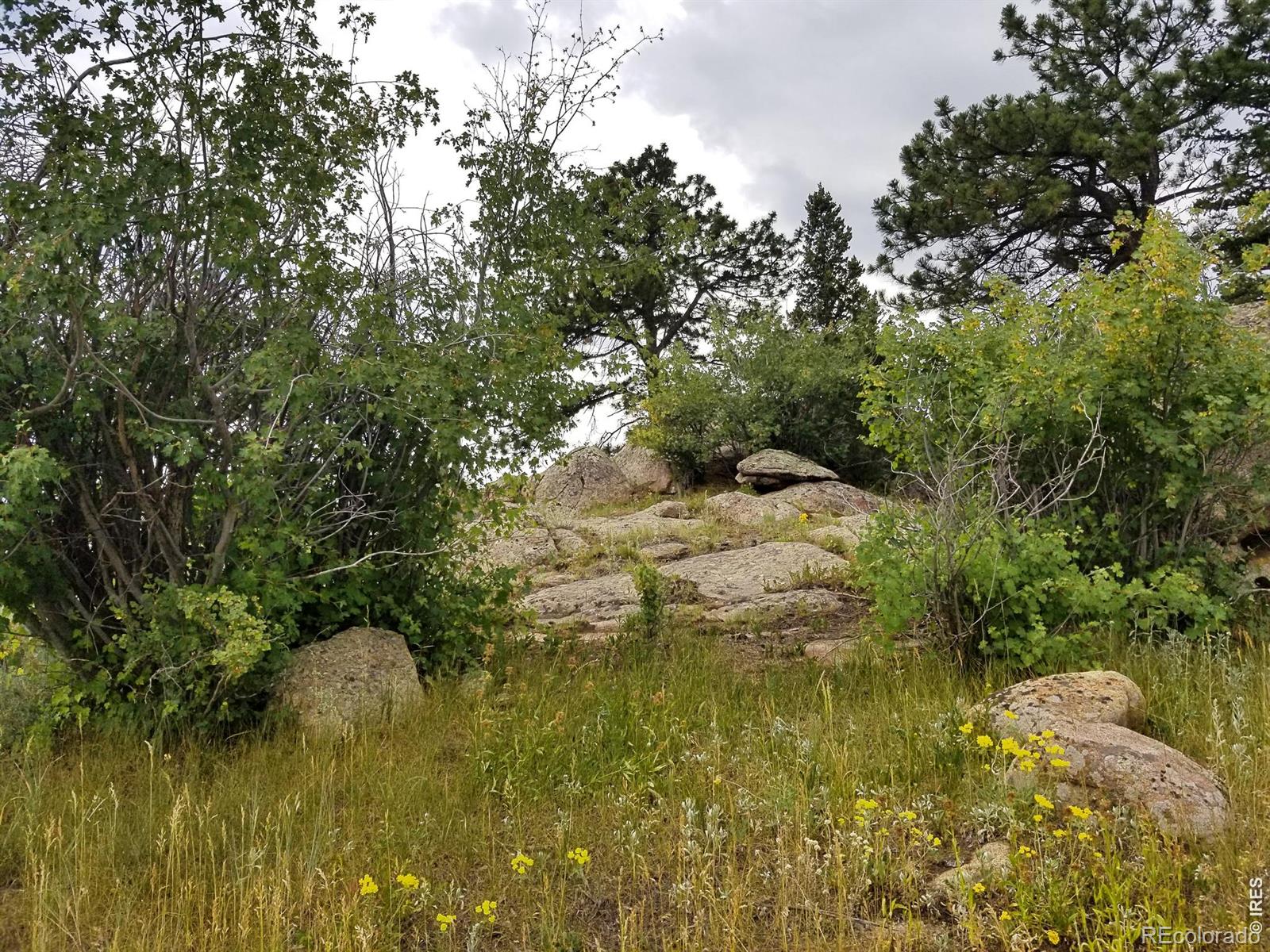 MLS Image #24 for 983  ramona drive,red feather lakes, Colorado