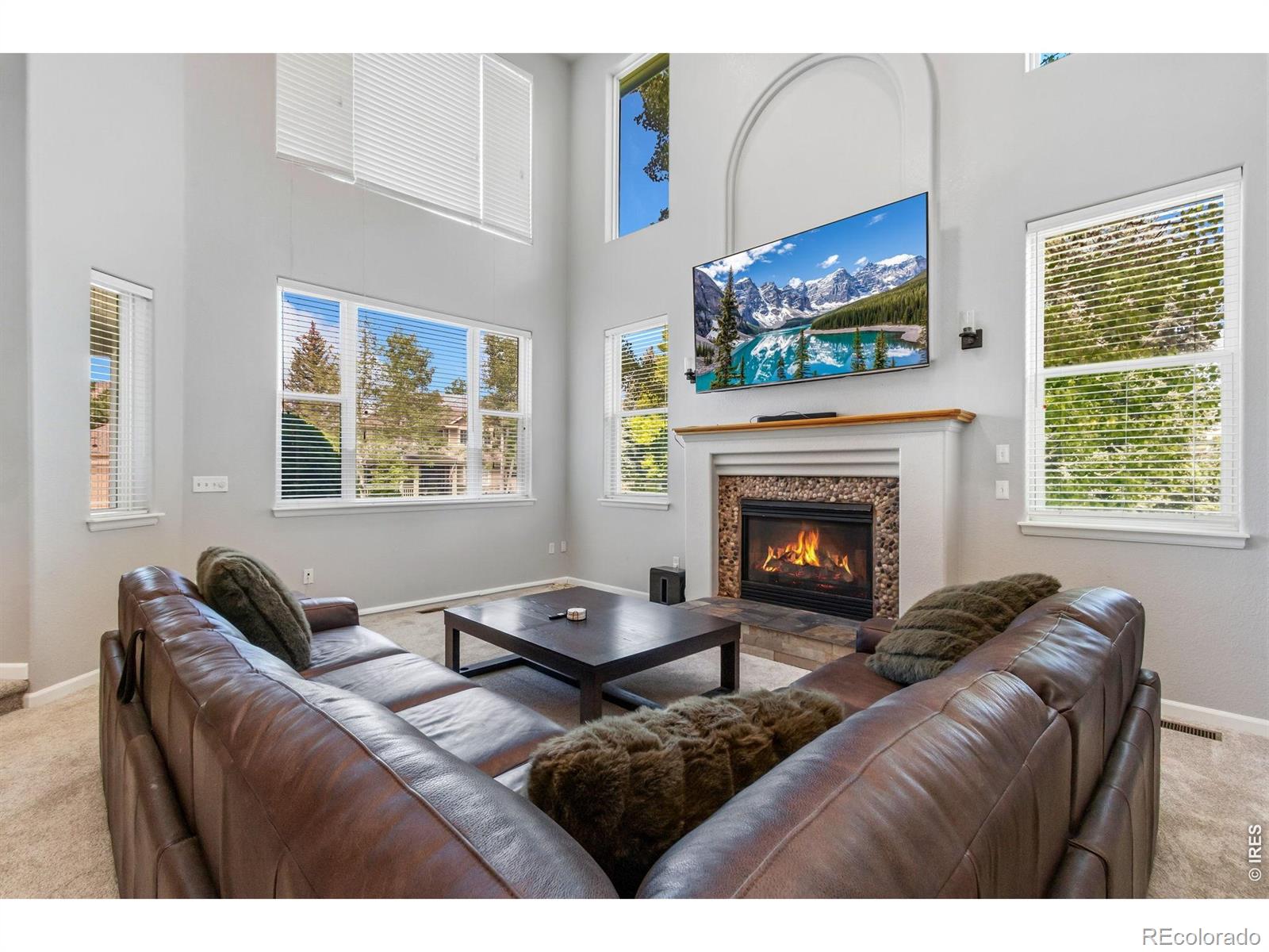 MLS Image #6 for 8355  louden circle,fort collins, Colorado