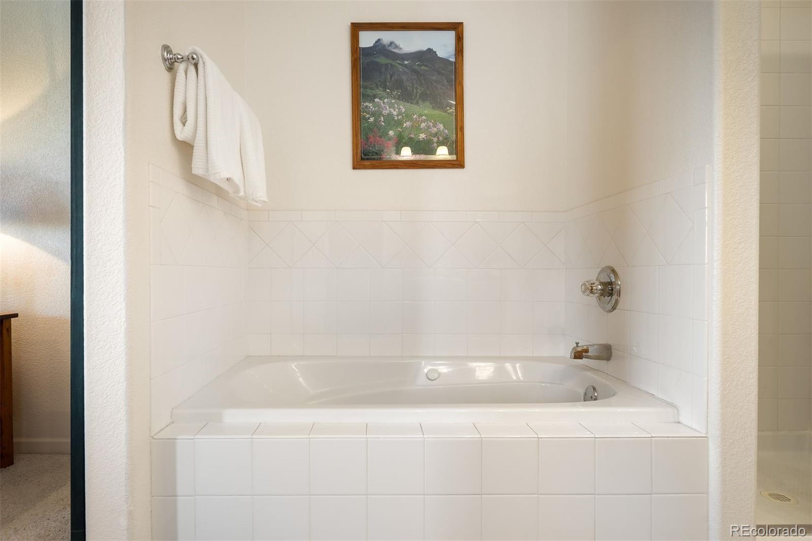 MLS Image #26 for 787  mulligan street,fraser, Colorado