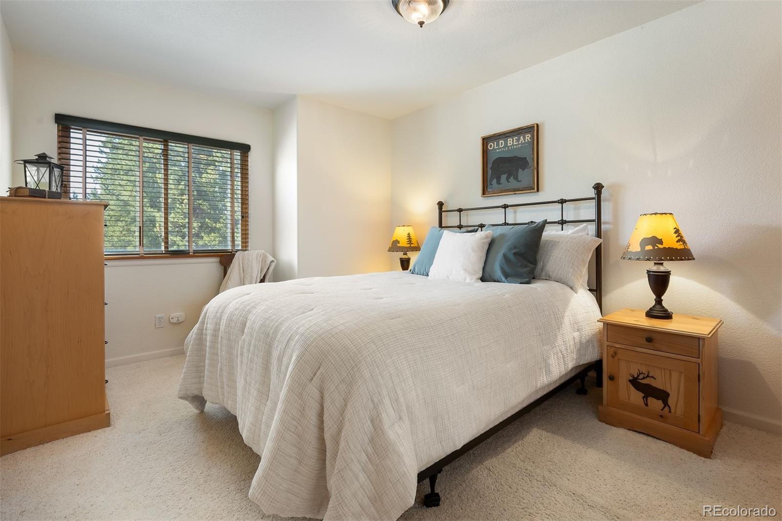 MLS Image #29 for 787  mulligan street,fraser, Colorado