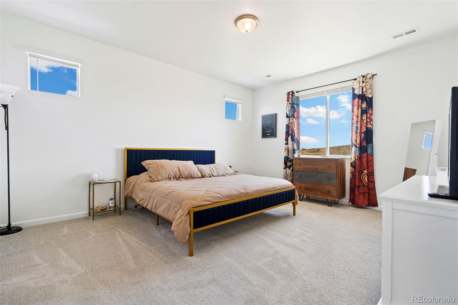 MLS Image #14 for 2486  white pelican avenue,loveland, Colorado
