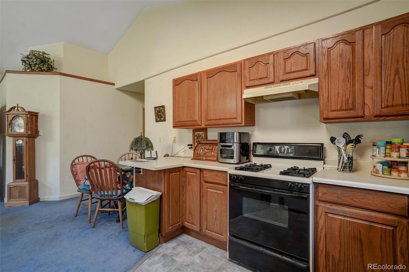 MLS Image #12 for 1206  biddle street,georgetown, Colorado