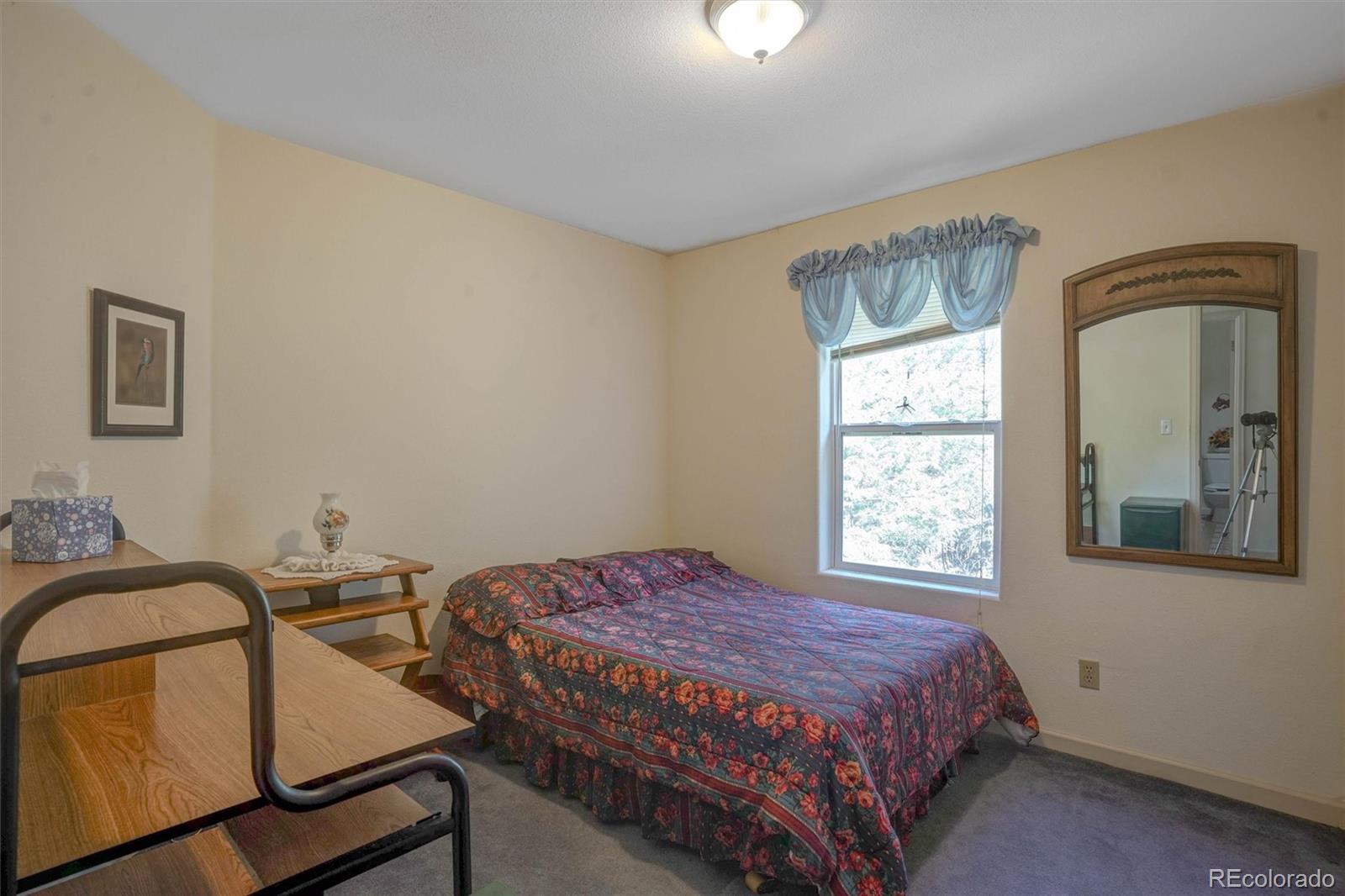 MLS Image #14 for 1206  biddle street,georgetown, Colorado