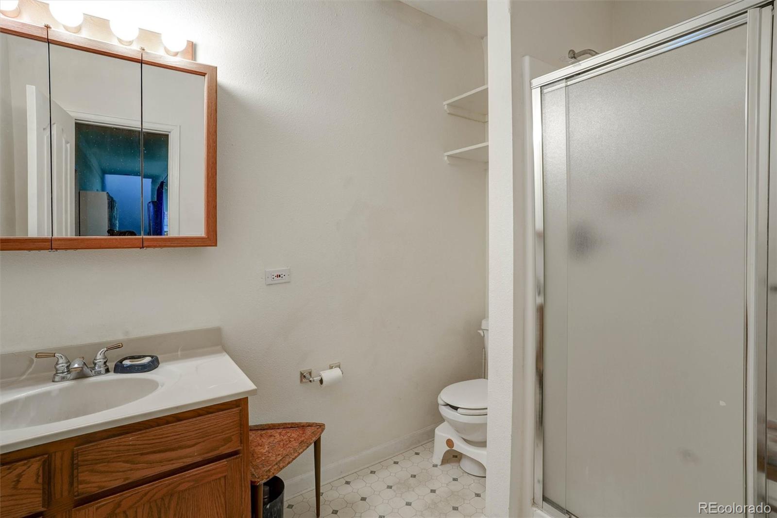 MLS Image #6 for 1206  biddle street,georgetown, Colorado