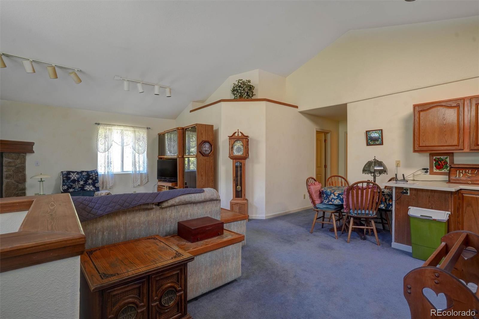 MLS Image #9 for 1206  biddle street,georgetown, Colorado