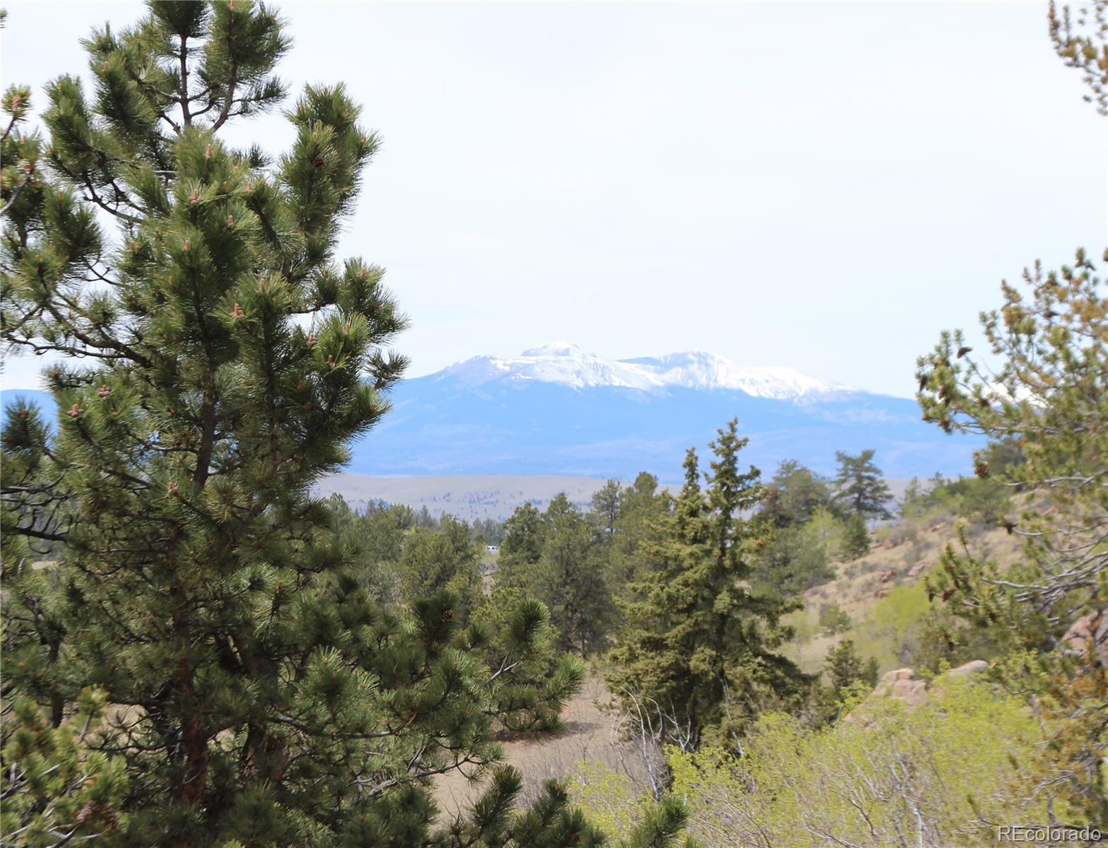 MLS Image #10 for 8221  remington road,como, Colorado
