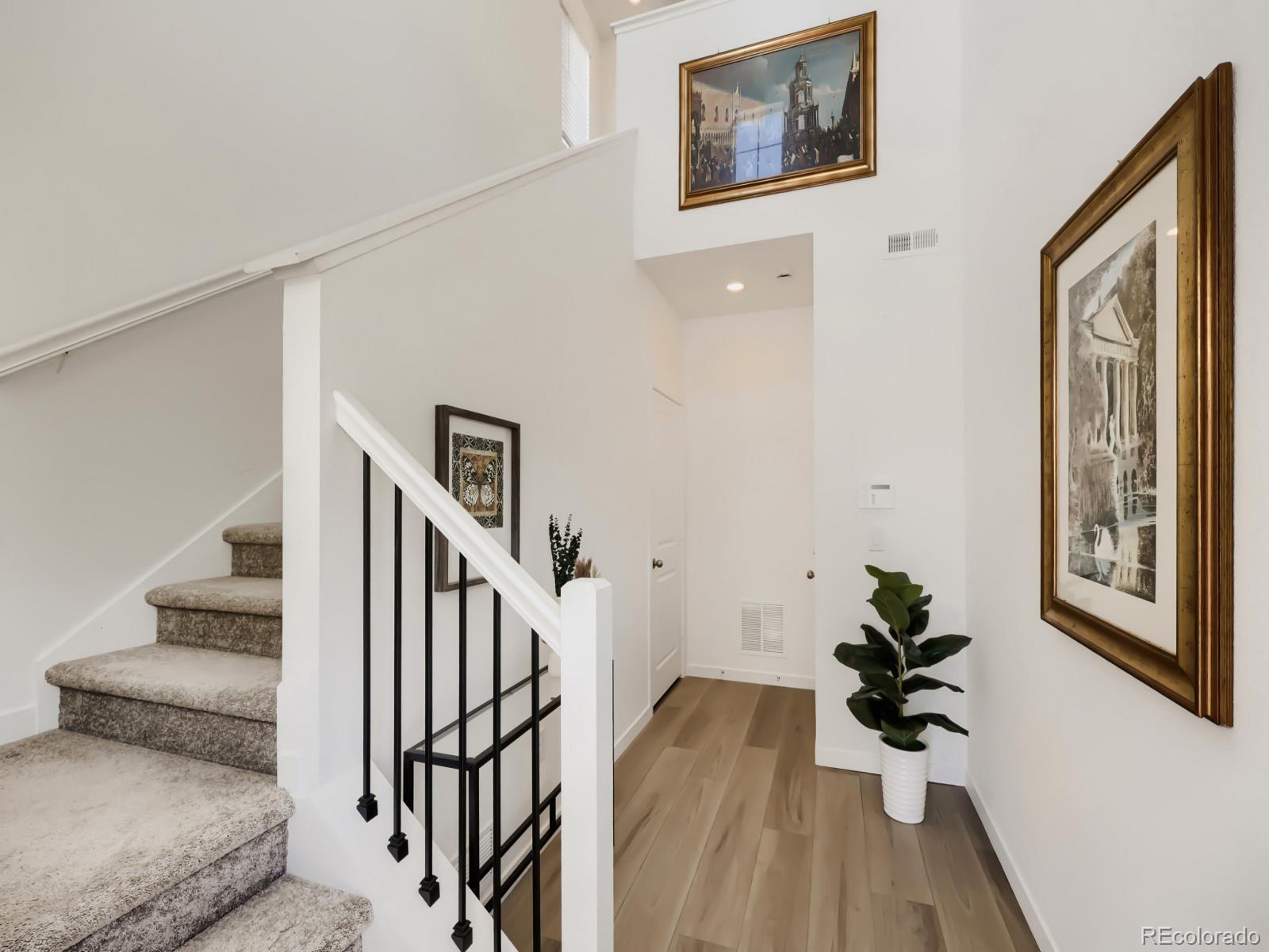 MLS Image #13 for 7442  whiteclover trail,littleton, Colorado