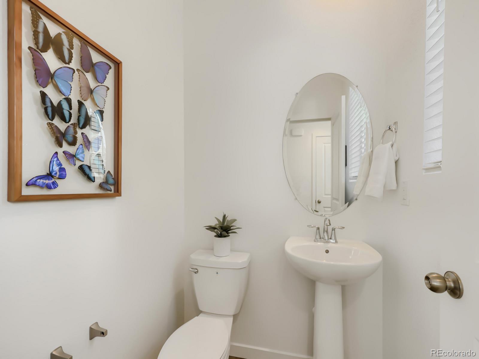 MLS Image #6 for 7442  whiteclover trail,littleton, Colorado
