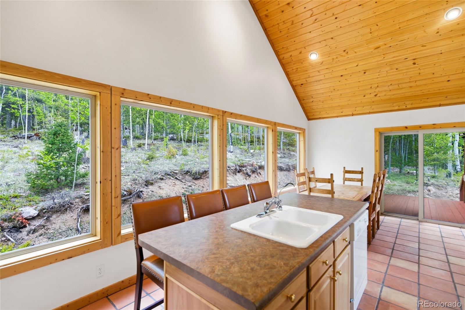 MLS Image #10 for 290  eagle rock road,florissant, Colorado