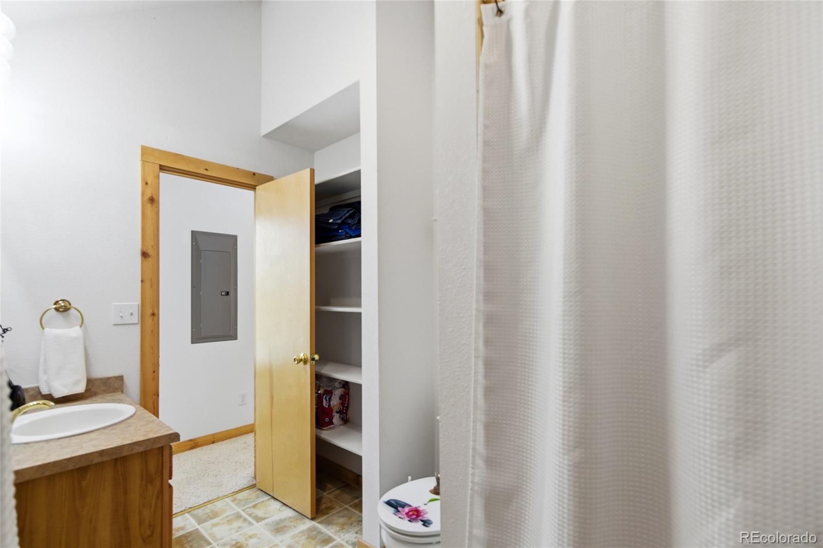 MLS Image #15 for 290  eagle rock road,florissant, Colorado