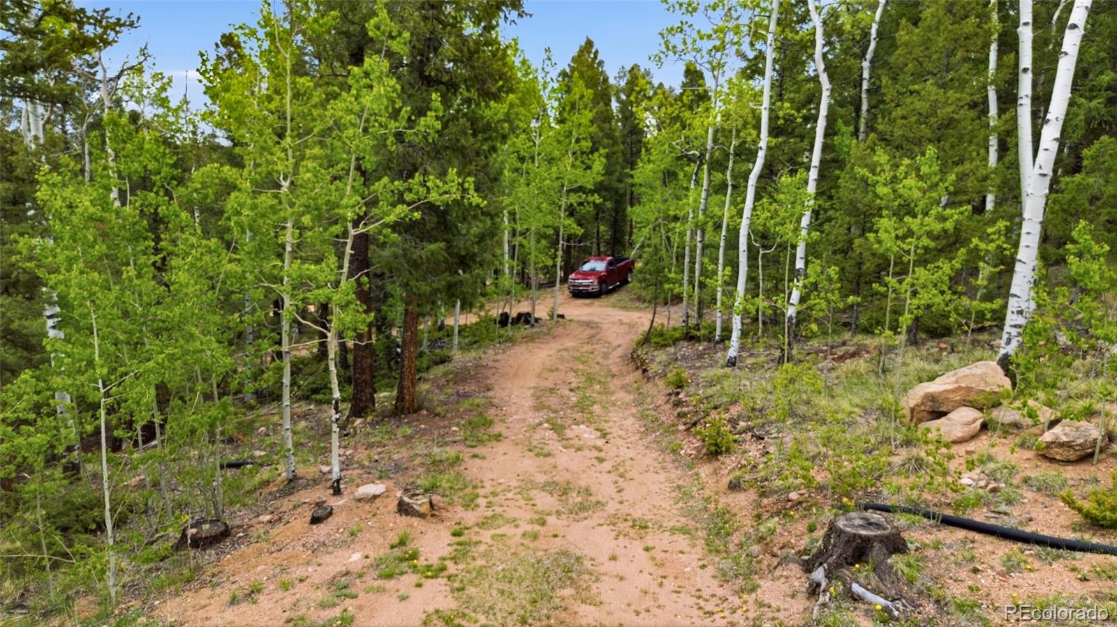 MLS Image #16 for 290  eagle rock road,florissant, Colorado