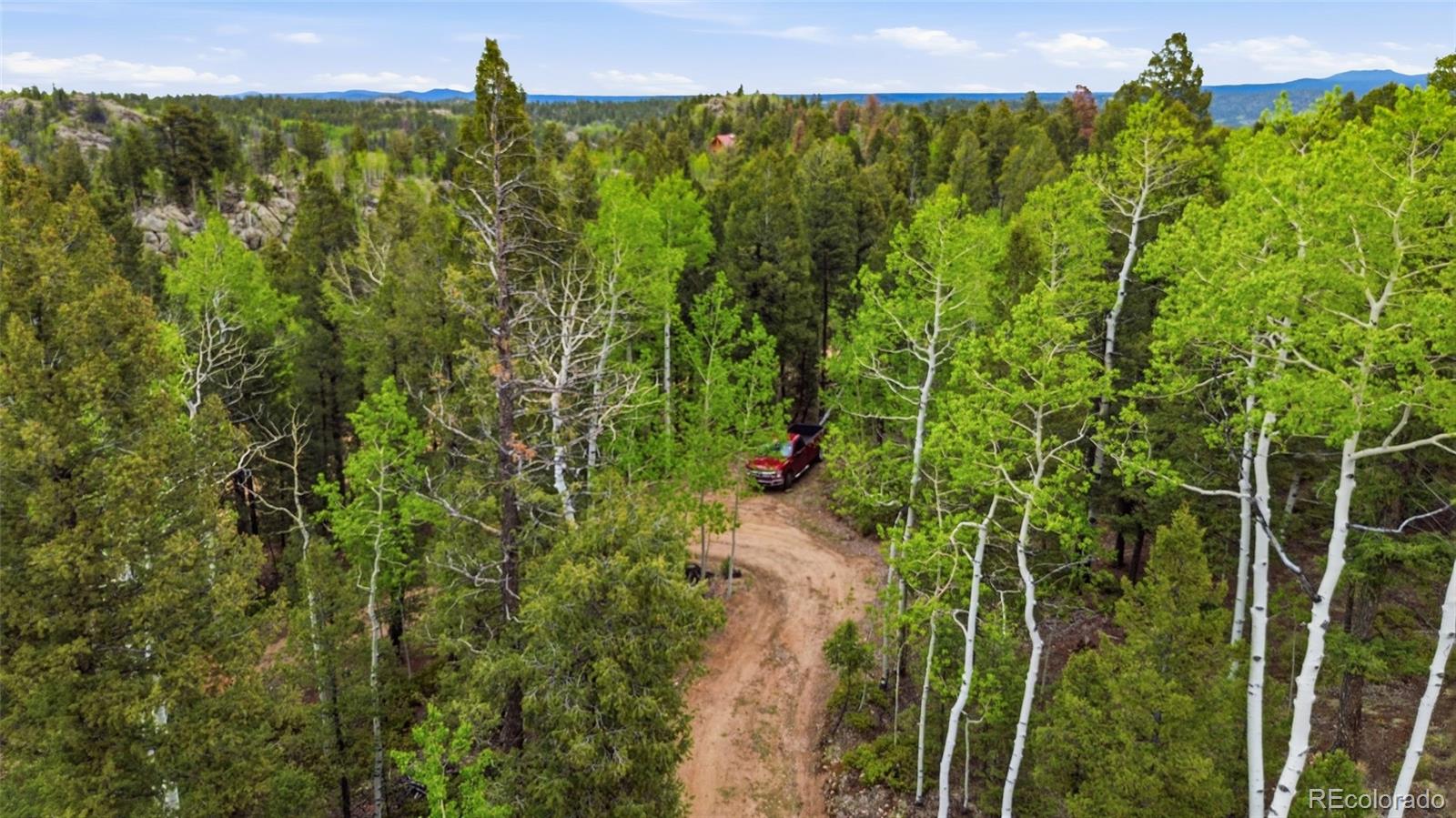 MLS Image #19 for 290  eagle rock road,florissant, Colorado